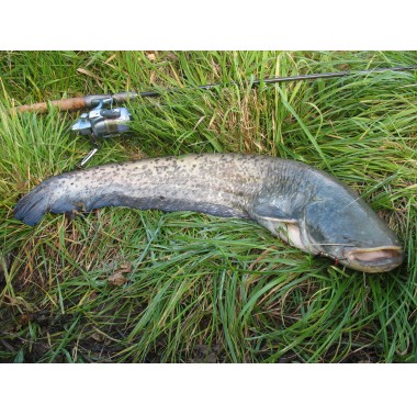 Profiter des promotions pour acquérir du matériel de pêche